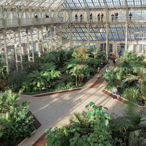 Inside a greenhouse